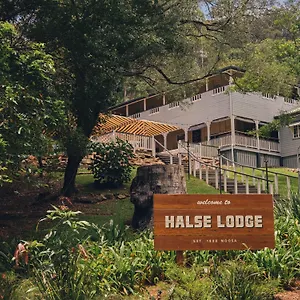 Halse , Noosa Heads Australia